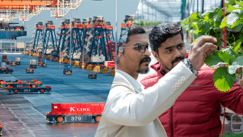 Economische missie naar India: tuinbouw, zuivel en maritiem